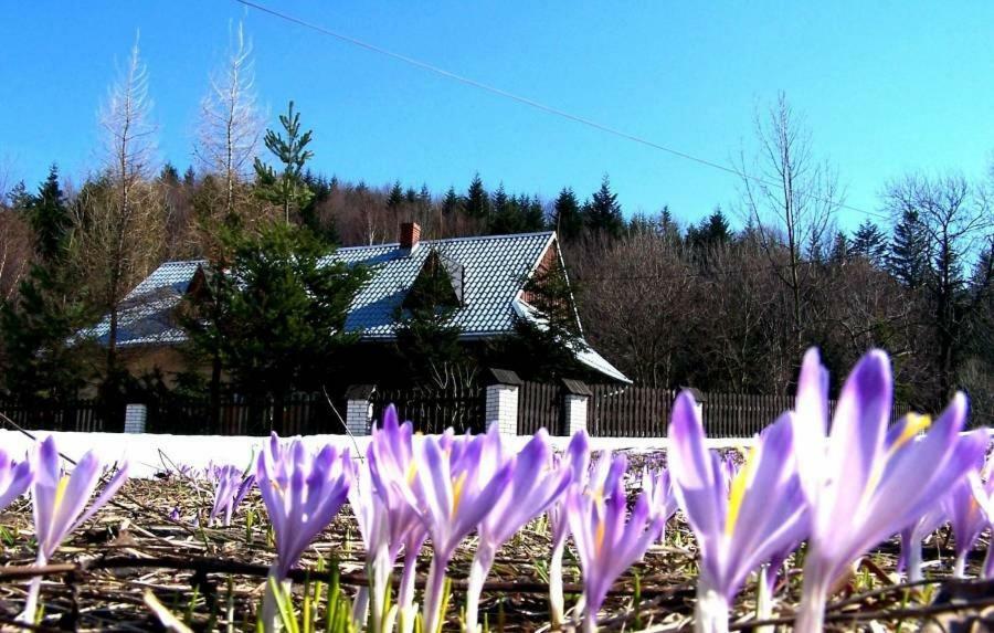 Goralska Czarcia Chata Pod Jalowcem Stryszawa Exterior foto